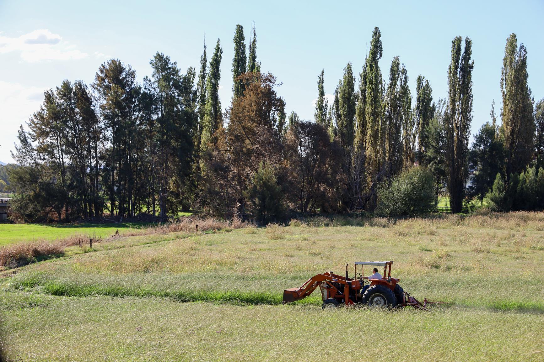 Canowindra Produce Co