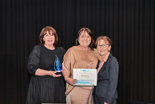 Cancer Wellness Support