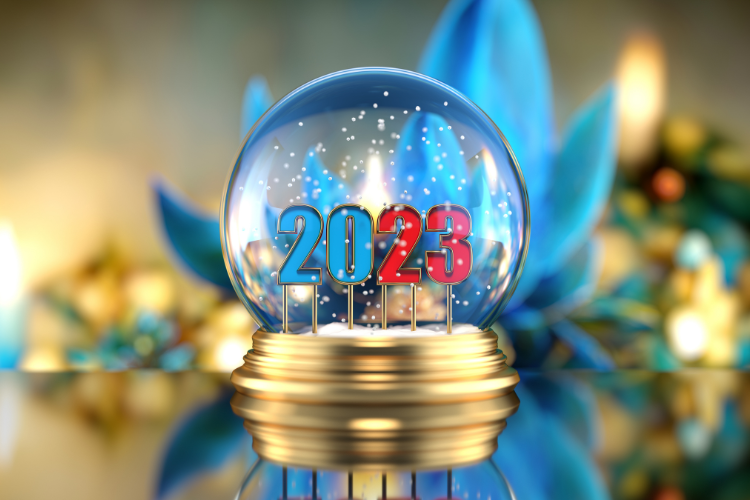 December 2023 Snapshot